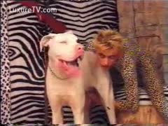 A dude disguised as a leopard stroking off a dog is featured in this bizarre beastiality fetish film.